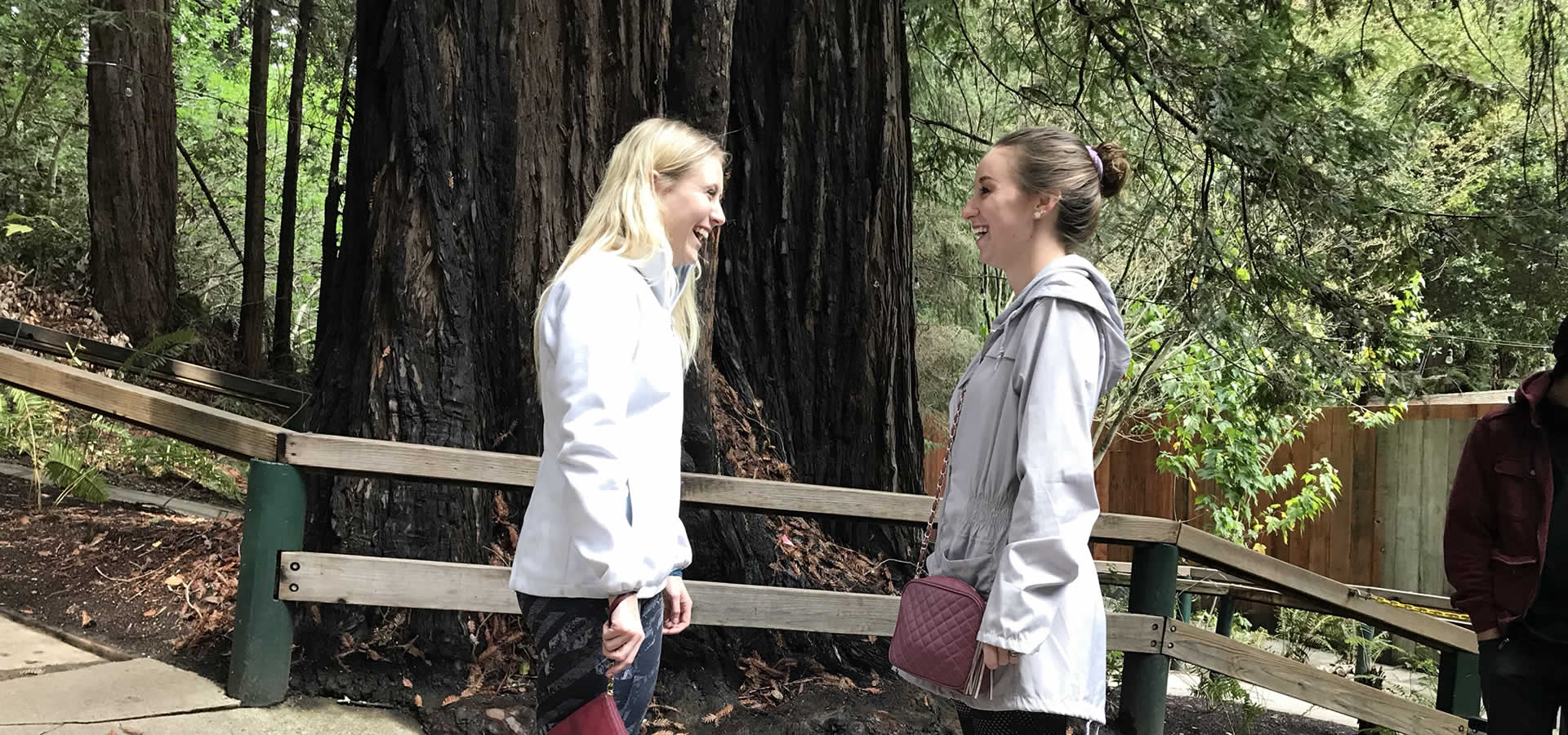 The Mystery Spot