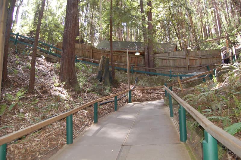 mystery-spot-tours-
